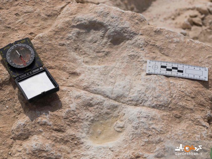 ردپا ۱۲۰ هزار ساله انسان در شمال عربستان سعودی کشف شد