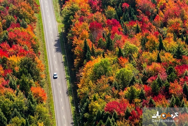 فصل پاییز به روایت برگ‌های سرخ و زردی که چشم‌ها را مسحور می‌کند + تصاویر