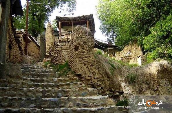 روستای بی نظیر برغان کرج، سرزمین آلوچه های ایران زمین!+عکس