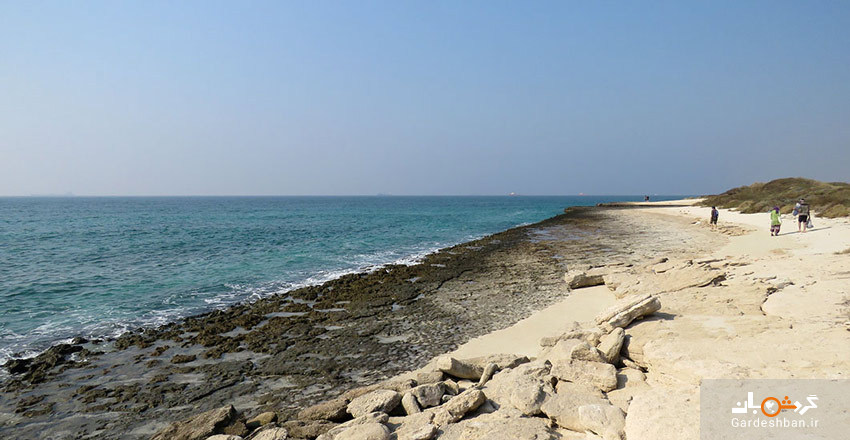 جزیره زیبای شیدور؛از جذاب‌ترین جزیره‌های خلیج‌فارس/عکس
