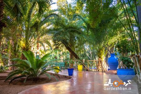 باغ ماژورل، از جاذبه های دیدنی مراکش/عکس