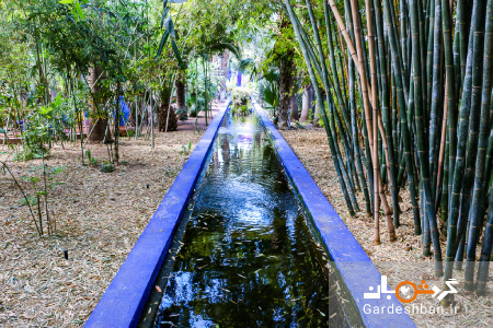 باغ ماژورل، از جاذبه های دیدنی مراکش/عکس