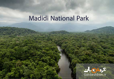 پارک ملی مادیدی، جایی که ممکن است در آن فلج شوید!+عکس