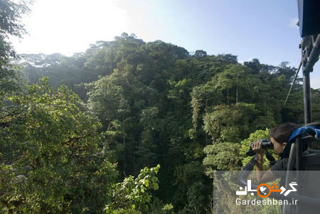 دوچرخه سواری بر فراز جنگل های انبوه اکوادور+عکس