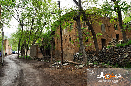 طامه؛ روستای بسیار خوش آب و هوای اصفهان+عکس