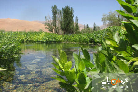چشمه دیمه؛ مکان مورد علاقه گردشگران شهرستان کوهرنگ/عکس