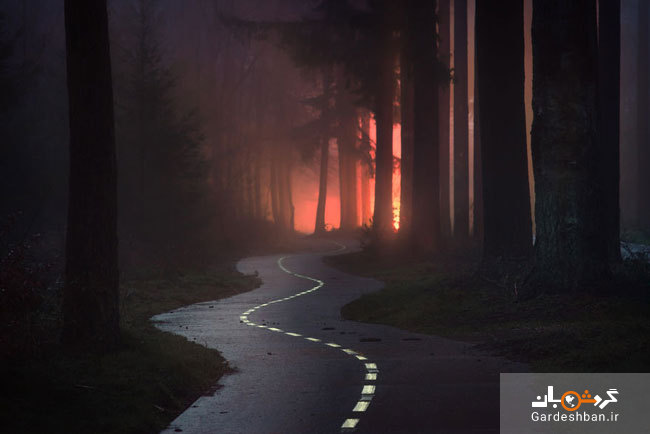 مناظر جادویی جنگل های هلند+عکس