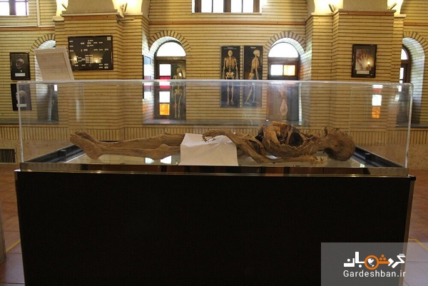 ماجرای عجیب مومیایی زن یزدی/ جسد خوابیده در موزه کیست؟