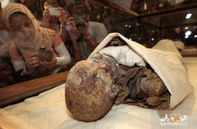 مشهورترین مومیایی‌های مصری که در ۱۰۰ سال اخیر کشف شده‌اند + تصاویر