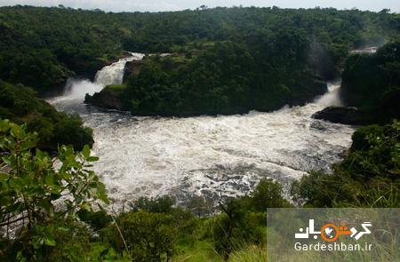آشنایی با رود نیل؛ رودی که  از 10 کشور آفریقا می گذرد / عکس