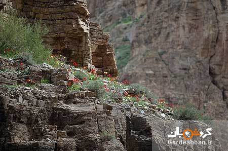 منظره فوق العاده قلعه تاریخی علی بیگ در نوار مرزی ارس/عکس