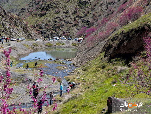 دره ارغوان، طبیعت سرسبز و زیبای مشهد + عکس