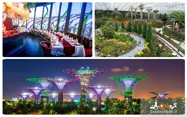 باغ خلیج ؛ مشهورترین و زیباترین جاذبه سنگاپور + عکس