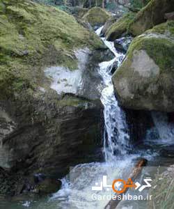 آبشار گزو ؛ طبیعتی بهشتی در دل جنگل های شمال+عکس
