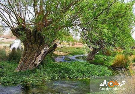 دریاچه و چشمه زیبای غربال بیز در یزد /عکس