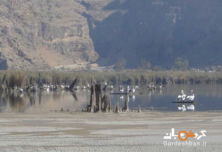 دریاچه پریشان؛بزرگ ترين دریاچه آب شیرین در کازرون/عکس