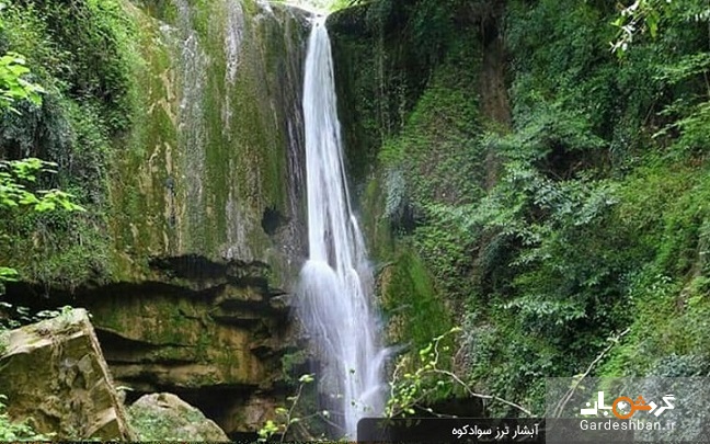 آبشار ترز سوادکوه؛ جاذبه ای حیرت انگیز در قلب جنگل لفور+عکس