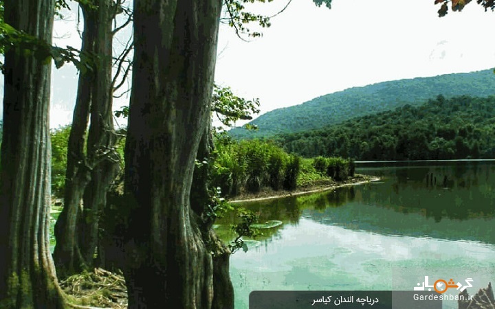 دریاچه الندان کیاسر؛ یکی از تماشایی‌ترین دریاچه‌های شمال ایران+عکس