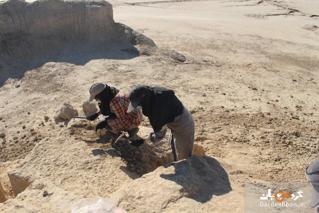 ۵ هزار سال قدمت ابزارسازی در دشت جنوبی سیستان