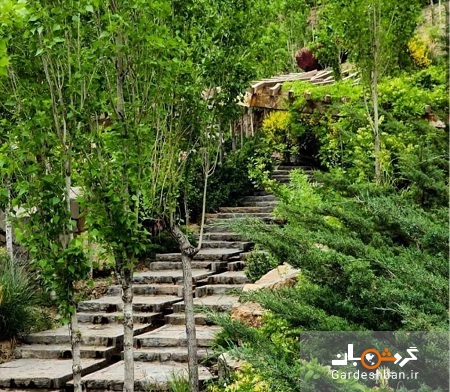 پارک جنگلی لتمال کن؛ طبیعتی باصفا در تهران +عکس