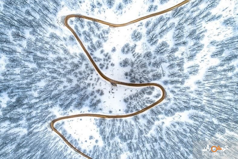 عکس/ نمای هوایی از جاده زیبا وسط جنگل برفی