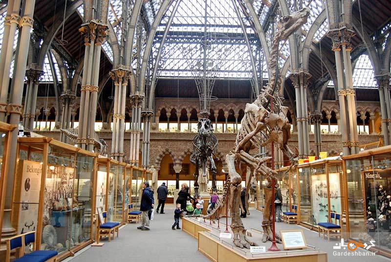 این ۶ موزه در آکسفورد از بهترین موزه های انگلیس هستند+عکس