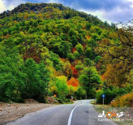 جاده توسکستان، زیباترین جاده جنگلی ایران