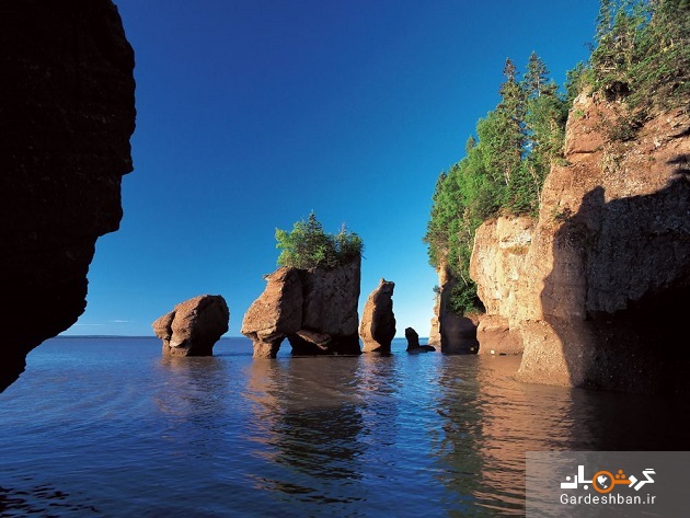 خلیج فاندی کانادا؛ یکی از عجایب هفتگانه طبیعی دنیا+ عکس