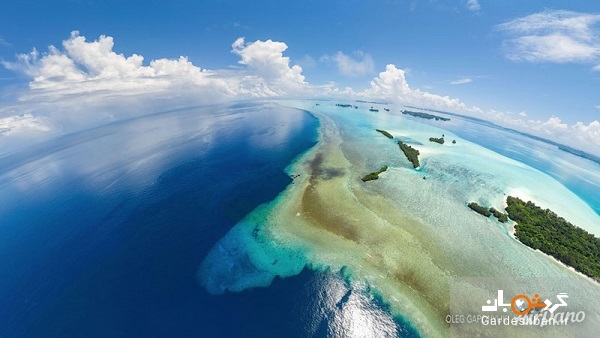 گودال‌های آبی پالائو ؛ از شگفتی‌های کم نظیر اقیانوس آرام/عکس