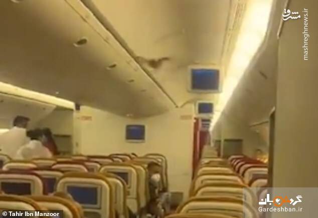 ورود یک خفاش در هواپیمای بوئینگ ۷۳۷ +عکس