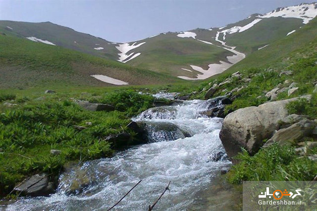 ییلاق ماهنشان، یکی از زیباترین مناطق زنجان/عکس