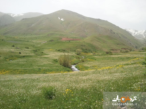 ییلاق ماهنشان، یکی از زیباترین مناطق زنجان/عکس