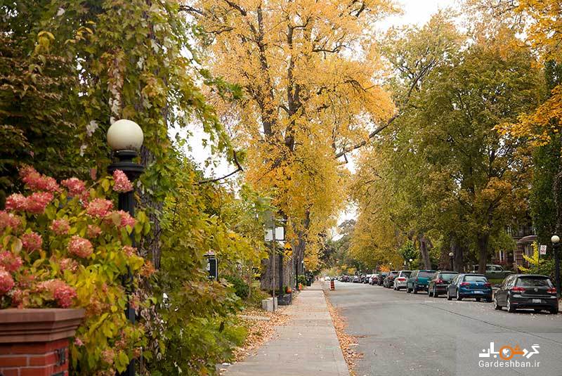 آشنایی با خیابان های معروف و زیبای تورنتو + تصاویر