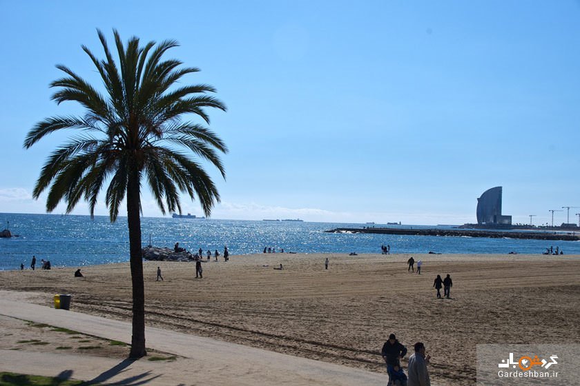 بندر المپیک و ساحل بارسلونتا ؛ محبوب‌ترین جاذبه بارسلونا /عکس