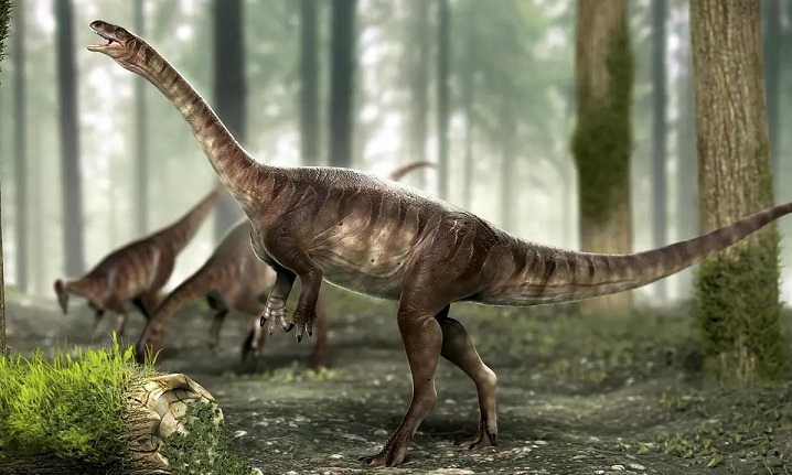 حقایقی جالب از دایناسور‌ها که شاید ندانید