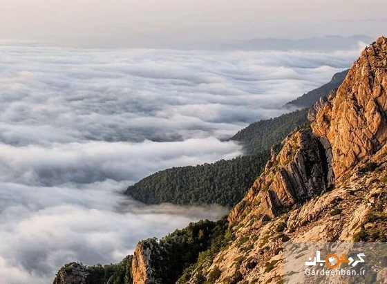اوپرت؛ مرز رویایی میان دو استان سمنان و مازندران/جایی که کویر و جنگل به هم می رسند+تصاویر