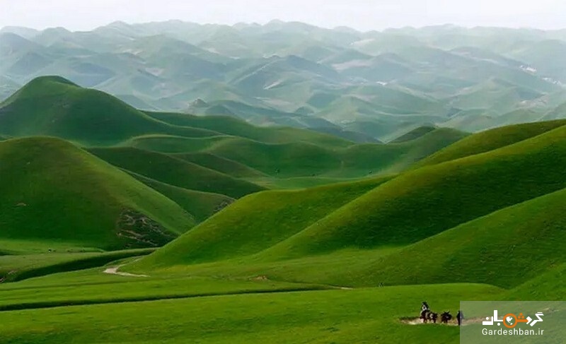 8 چشم انداز طبیعت افغانستان که شما را شگفت زده می کند/تصاویر