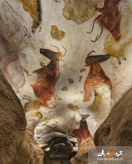 غار لاسکو؛ نمایشگاه نقاشی های عجیب از زمان ماقبل تاریخ/تصاویر