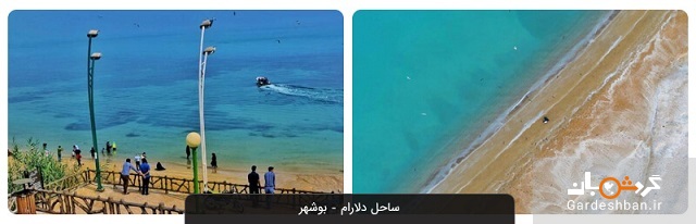 ساحل دلارام بوشهر؛ طبیعت بکر و حیرت انگیز بوشهر +عکس