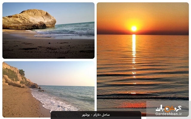 ساحل دلارام بوشهر؛ طبیعت بکر و حیرت انگیز بوشهر +عکس