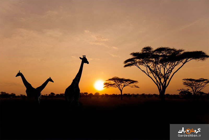 10 جاذبه گردشگری فراموش نشدنی در تانزانیا + تصاویر