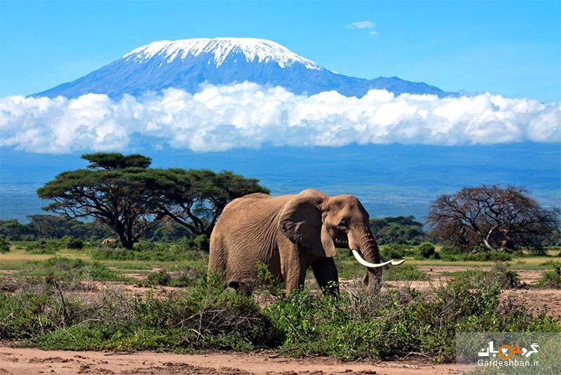 10 جاذبه گردشگری فراموش نشدنی در تانزانیا + تصاویر