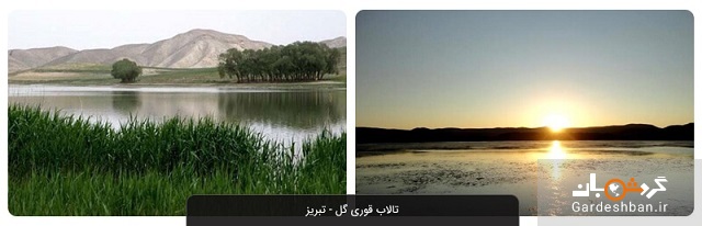 تالاب قوری گل؛ جاذبه طبیعی و زیبای تبریز +عکس