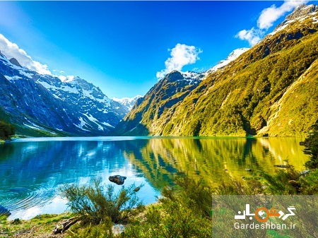 فیوردلند، بزرگترین پارک ملی در نیوزیلند+عکس
