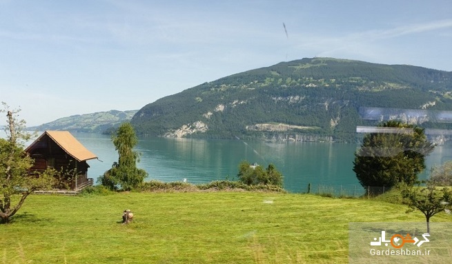 دریاچه تون و برینز ؛ طبیعت بکر اینترلاکن سوئیس/تصاویر