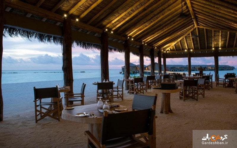 هتل ۵ ستاره یو اند می؛یکی از هتل‌های بی‌نظیر در مالدیو برای سفرهای خانوادگی+عکس