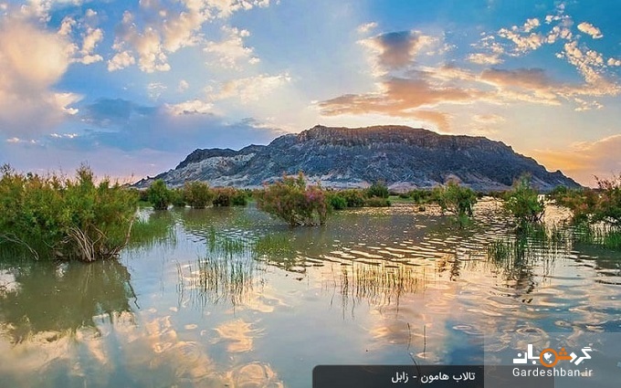 دریاچه و تالاب هامون؛ جاذبه معروف و دیدنی زابل+عکس