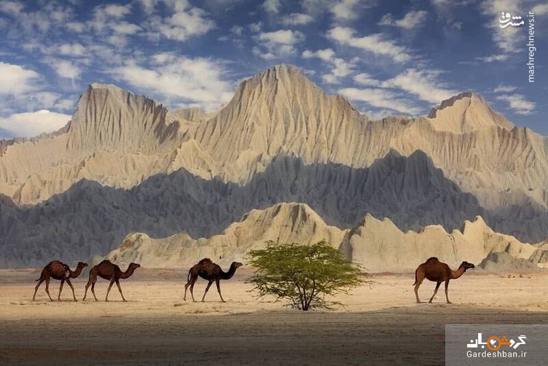 اینجا طبیعت سیستان و بلوچستان است/عکس
