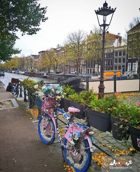 آمستردام پایتخت دوچرخه سواری دنیا + تصاویر