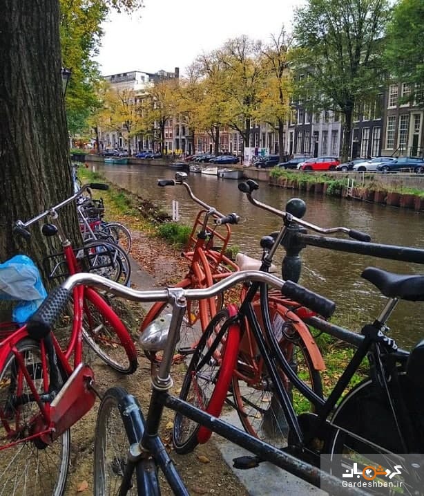 آمستردام پایتخت دوچرخه سواری دنیا + تصاویر